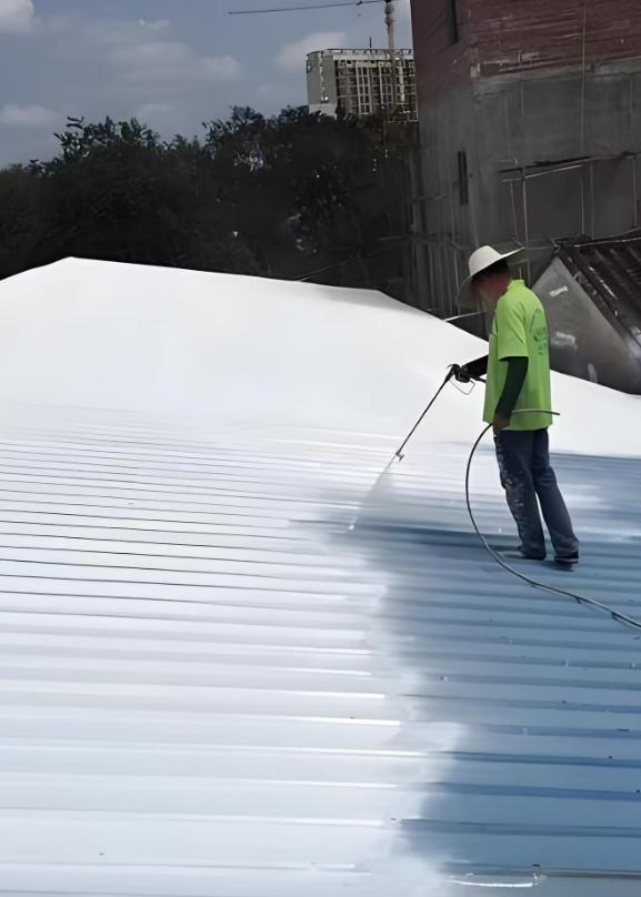 coating the roof